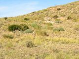 Majada Redonda, image of landscape/habitat.