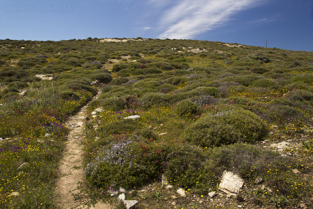 Остров Парос, image of landscape/habitat.