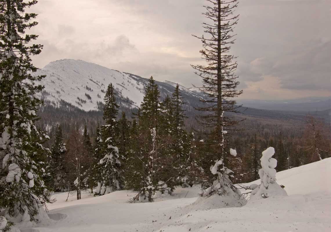 Хребет Большая Сукá, image of landscape/habitat.
