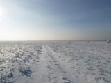 Котловина озера Кучукское, image of landscape/habitat.