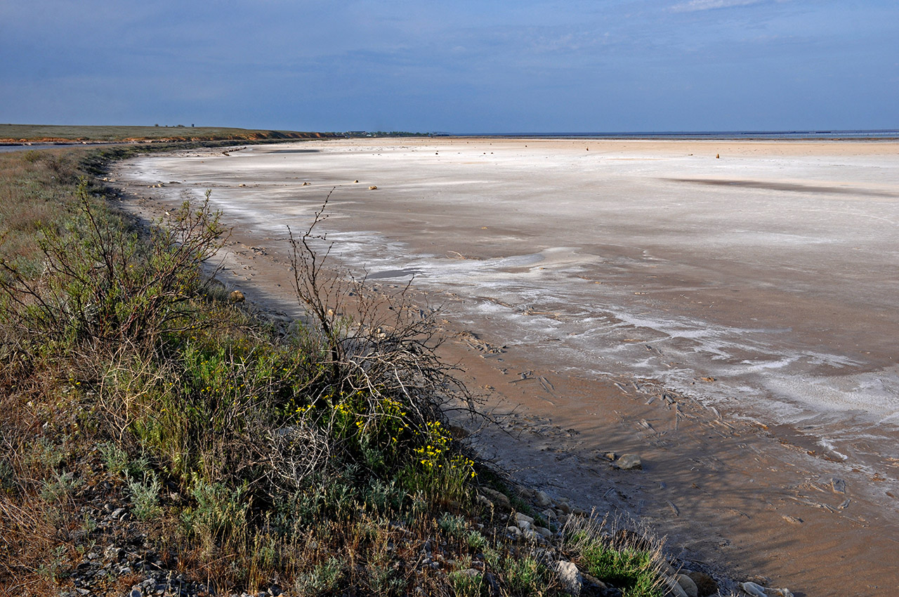 Кордонная балка, image of landscape/habitat.