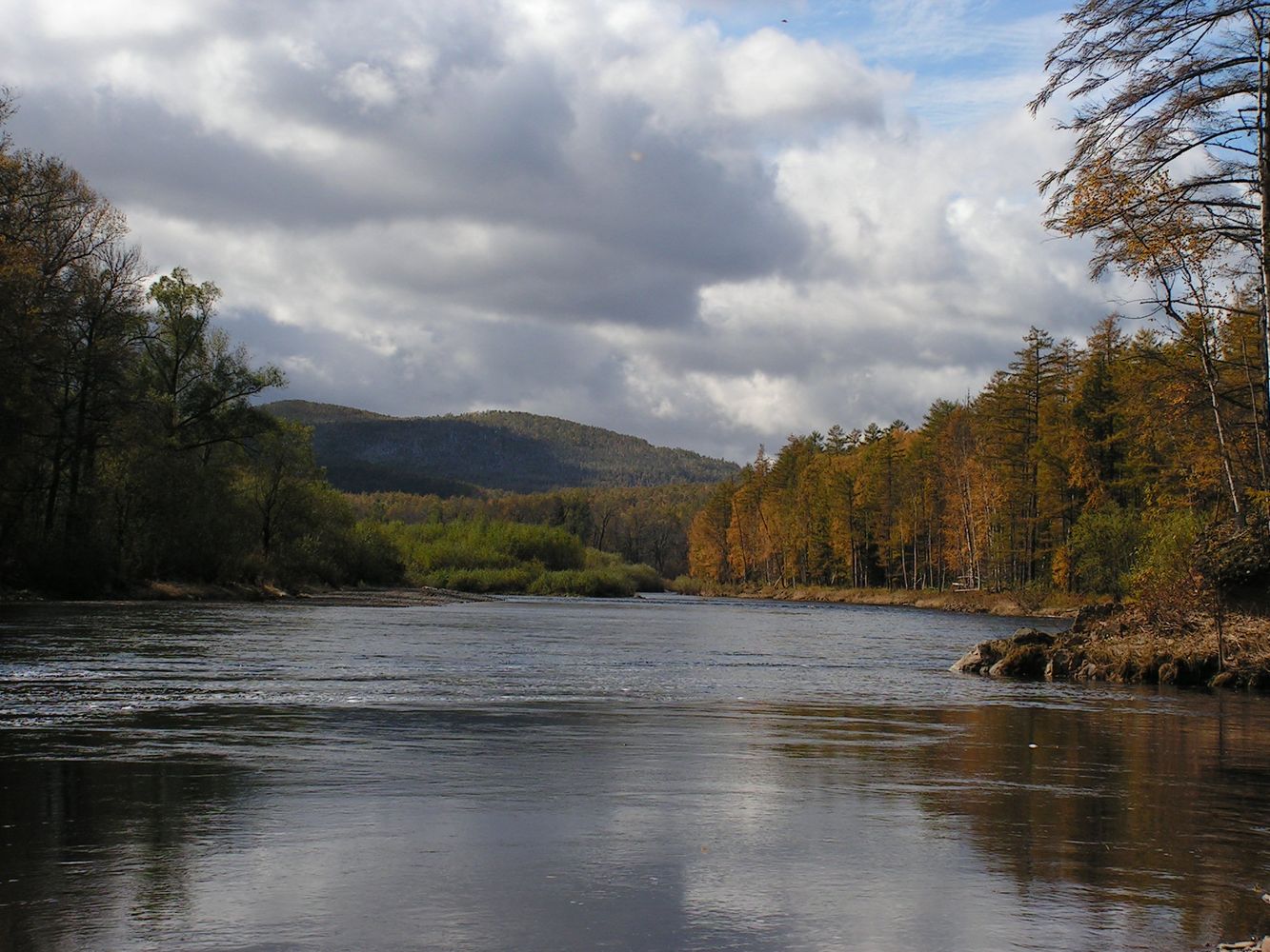 Тумнин, image of landscape/habitat.