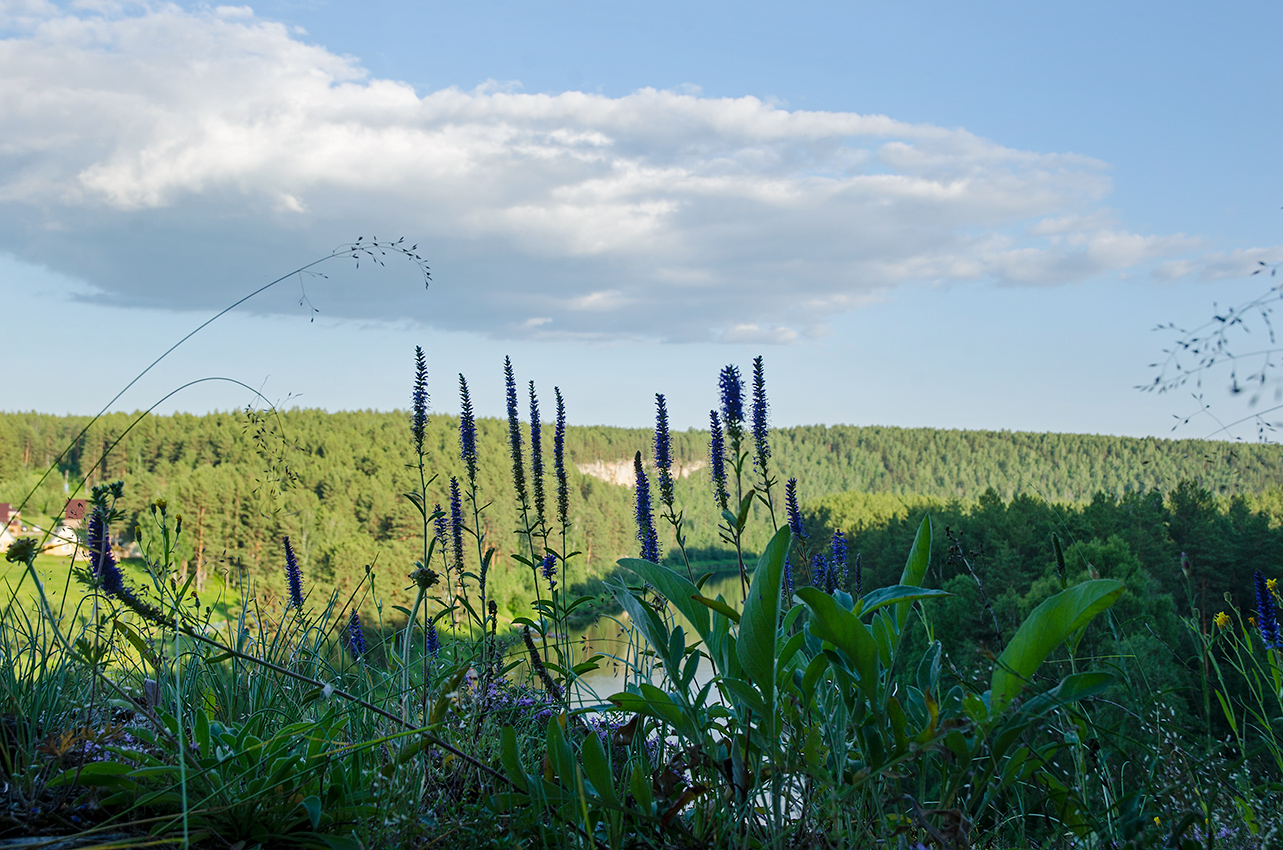 Окрестности Арасланово, image of landscape/habitat.