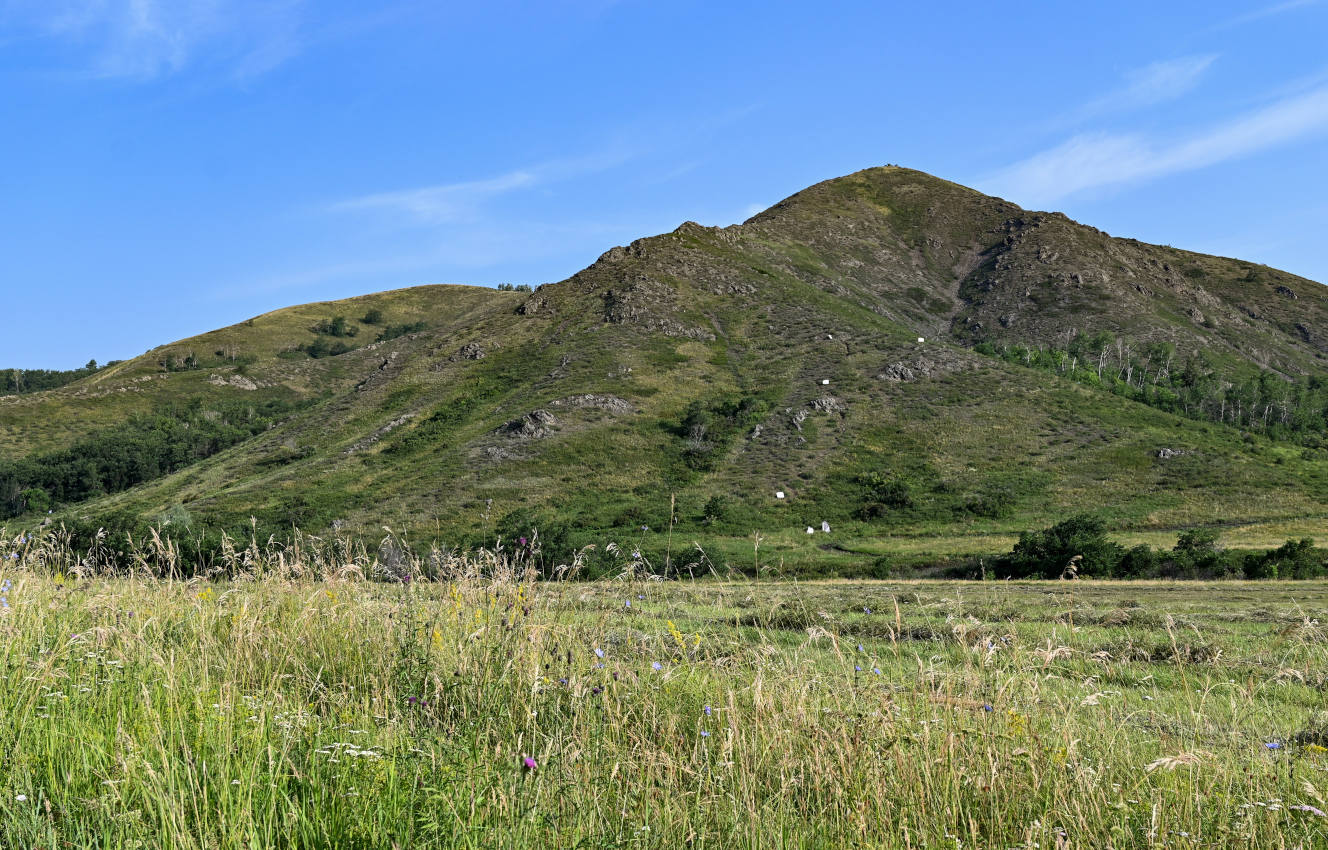 Заповедник "Шайтан-Тау", image of landscape/habitat.