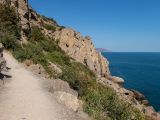 Image of landscape