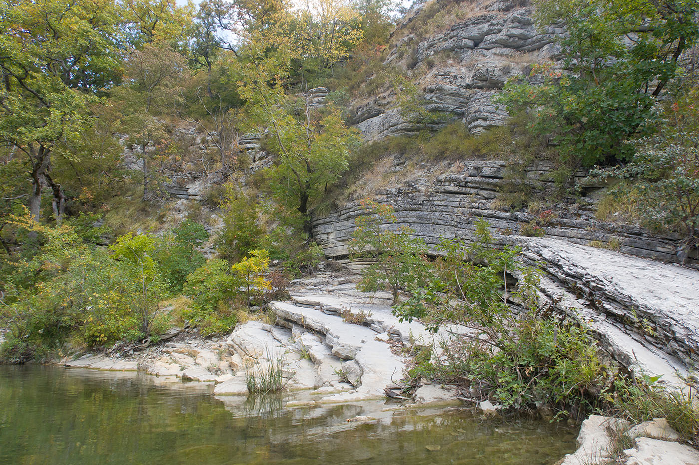 Плачущая скала, image of landscape/habitat.