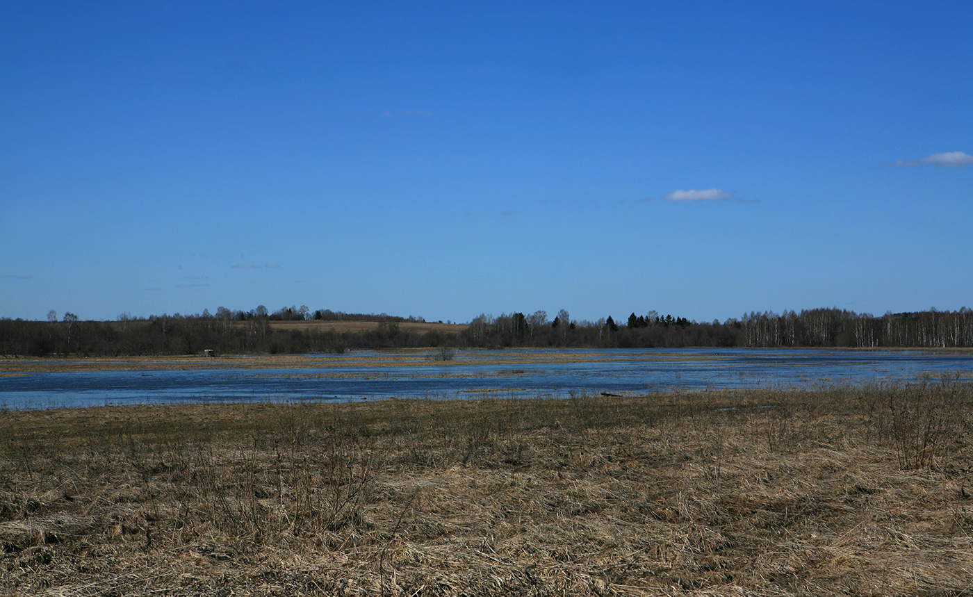 Антипино, image of landscape/habitat.