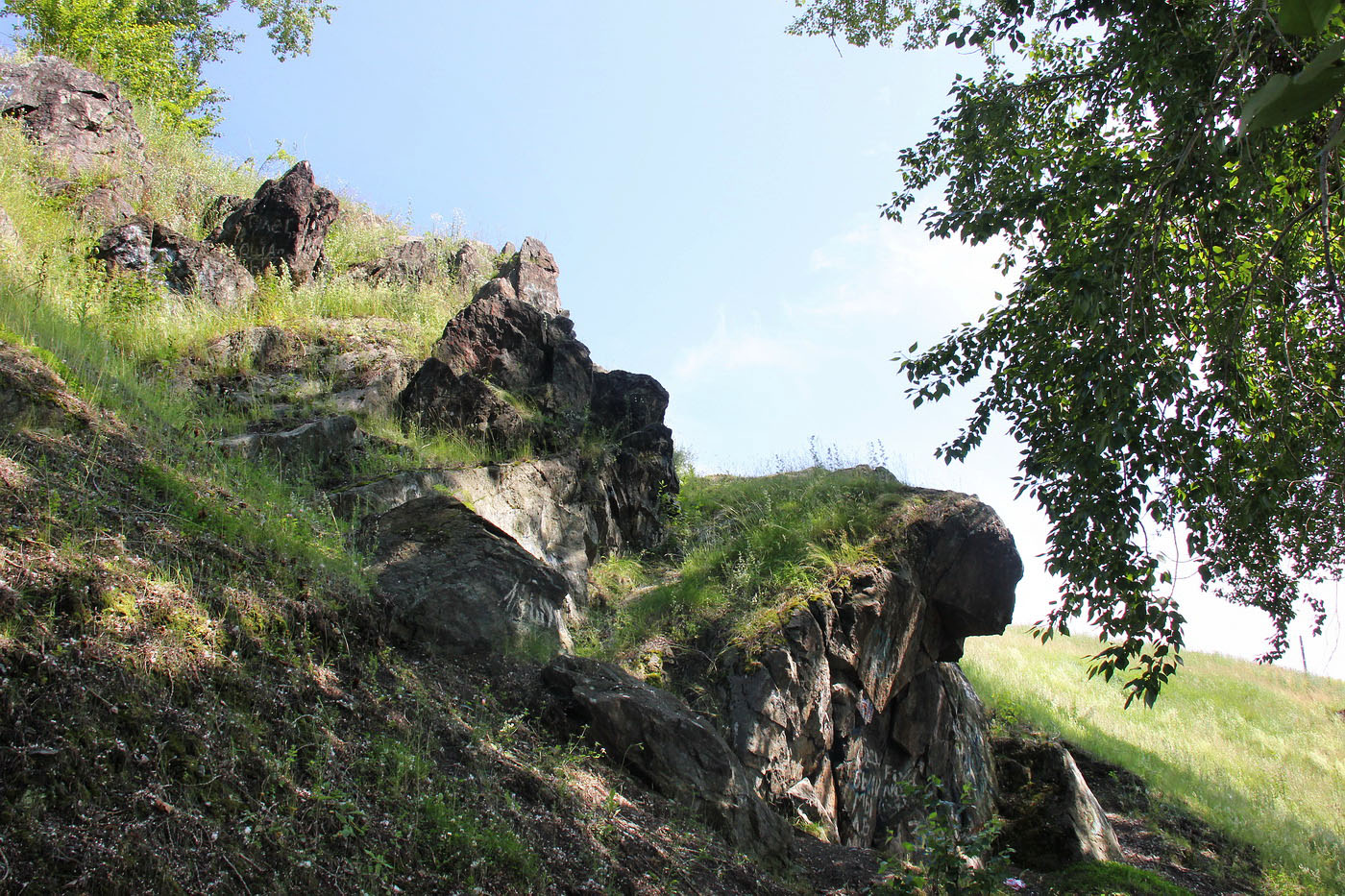 Невьянск, image of landscape/habitat.
