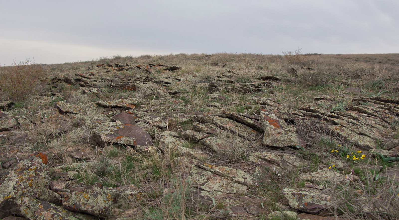 Дуйсембай, image of landscape/habitat.