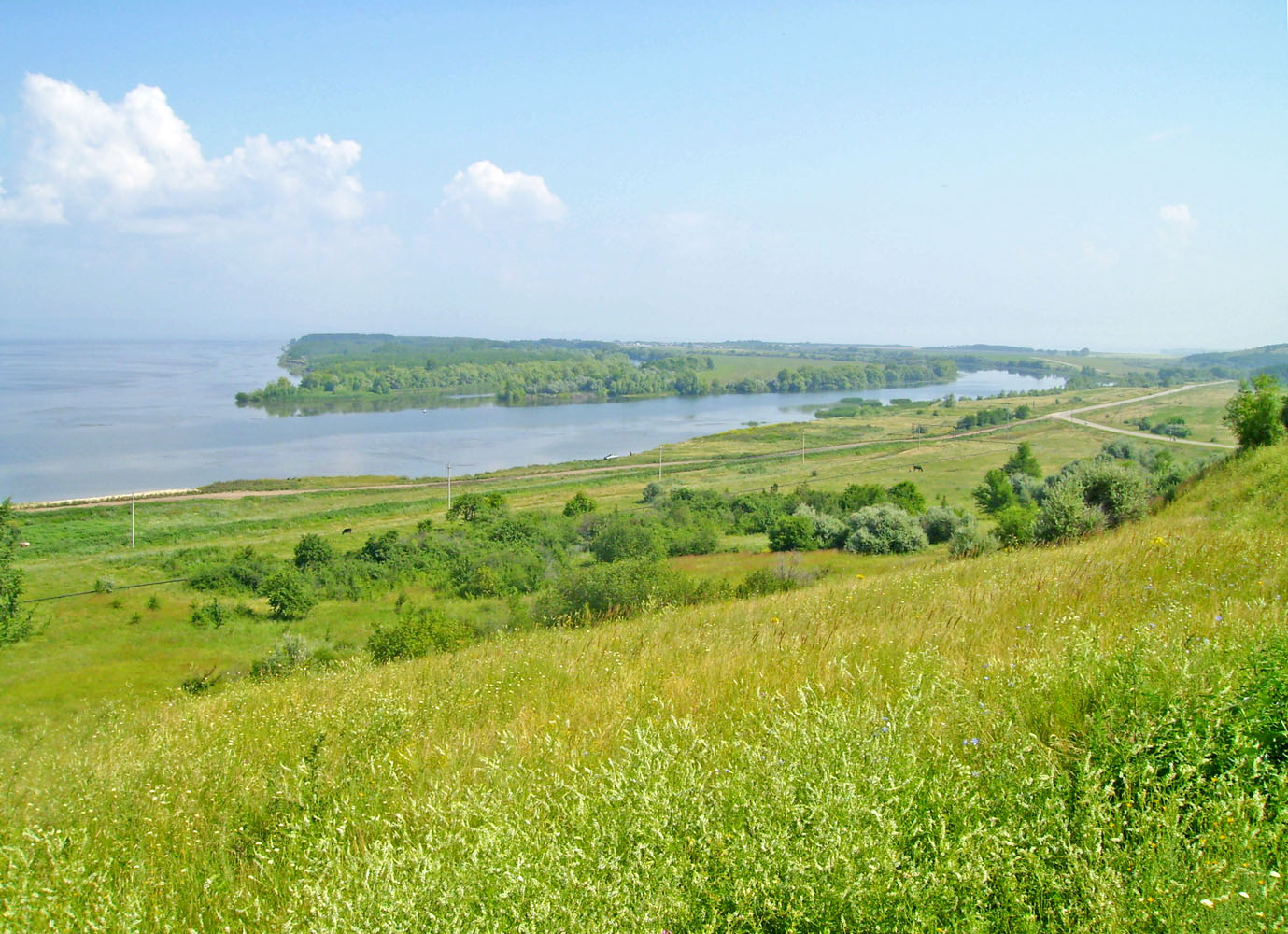 Саратовское водохранилище, image of landscape/habitat.