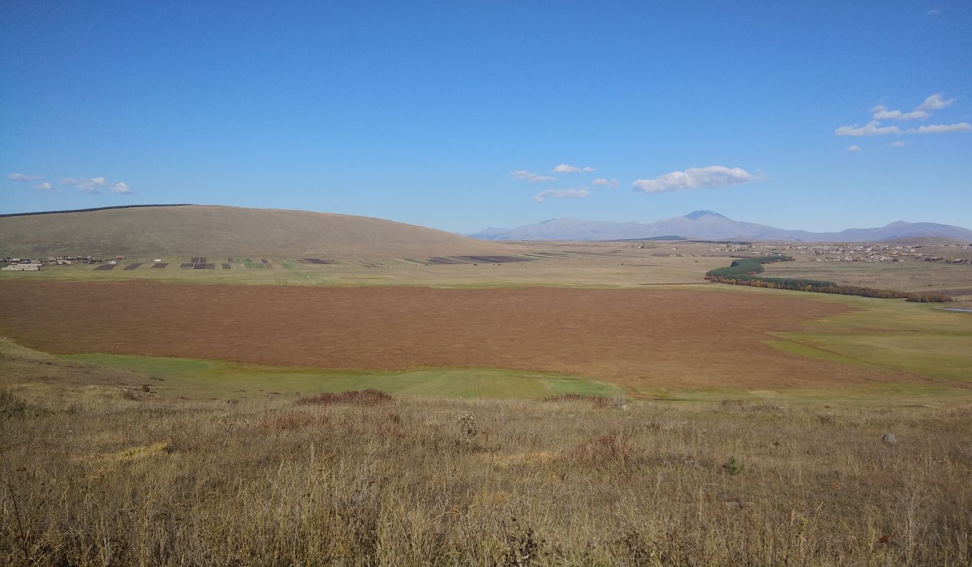 Болото Сулда, image of landscape/habitat.