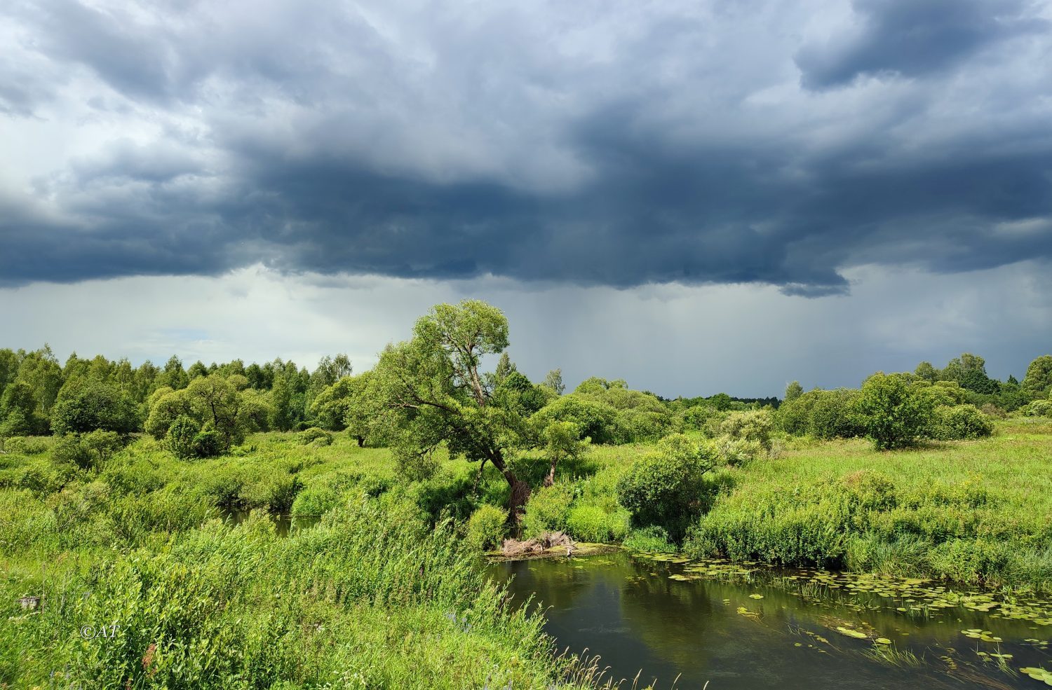 Верховья Каспли, image of landscape/habitat.