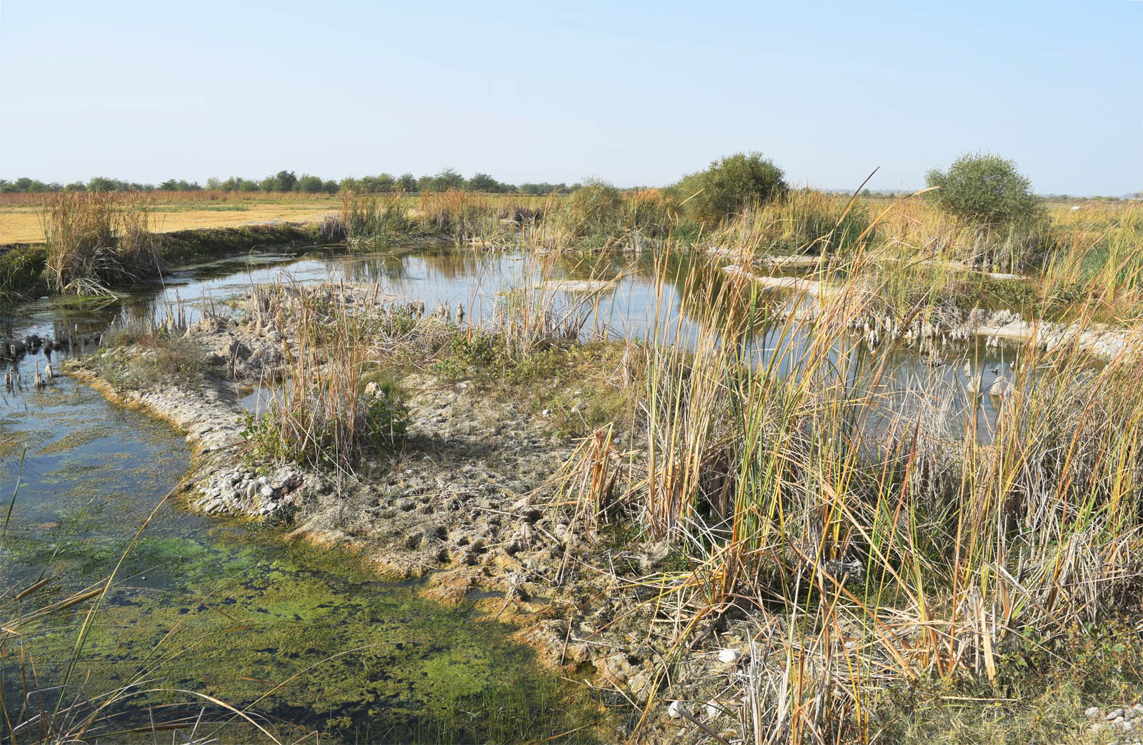 Туябугузское водохранилище, image of landscape/habitat.