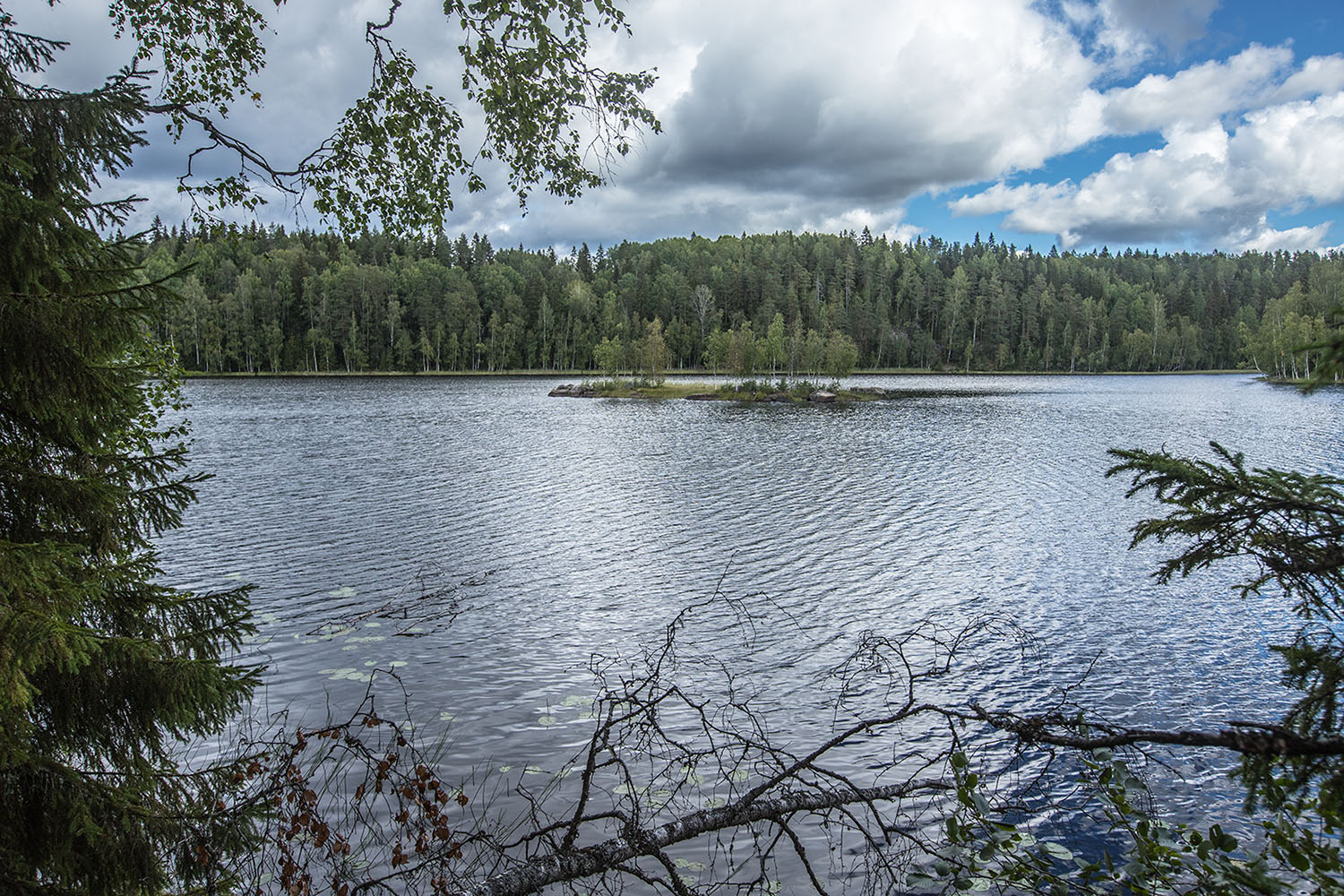 Ристиярви, image of landscape/habitat.