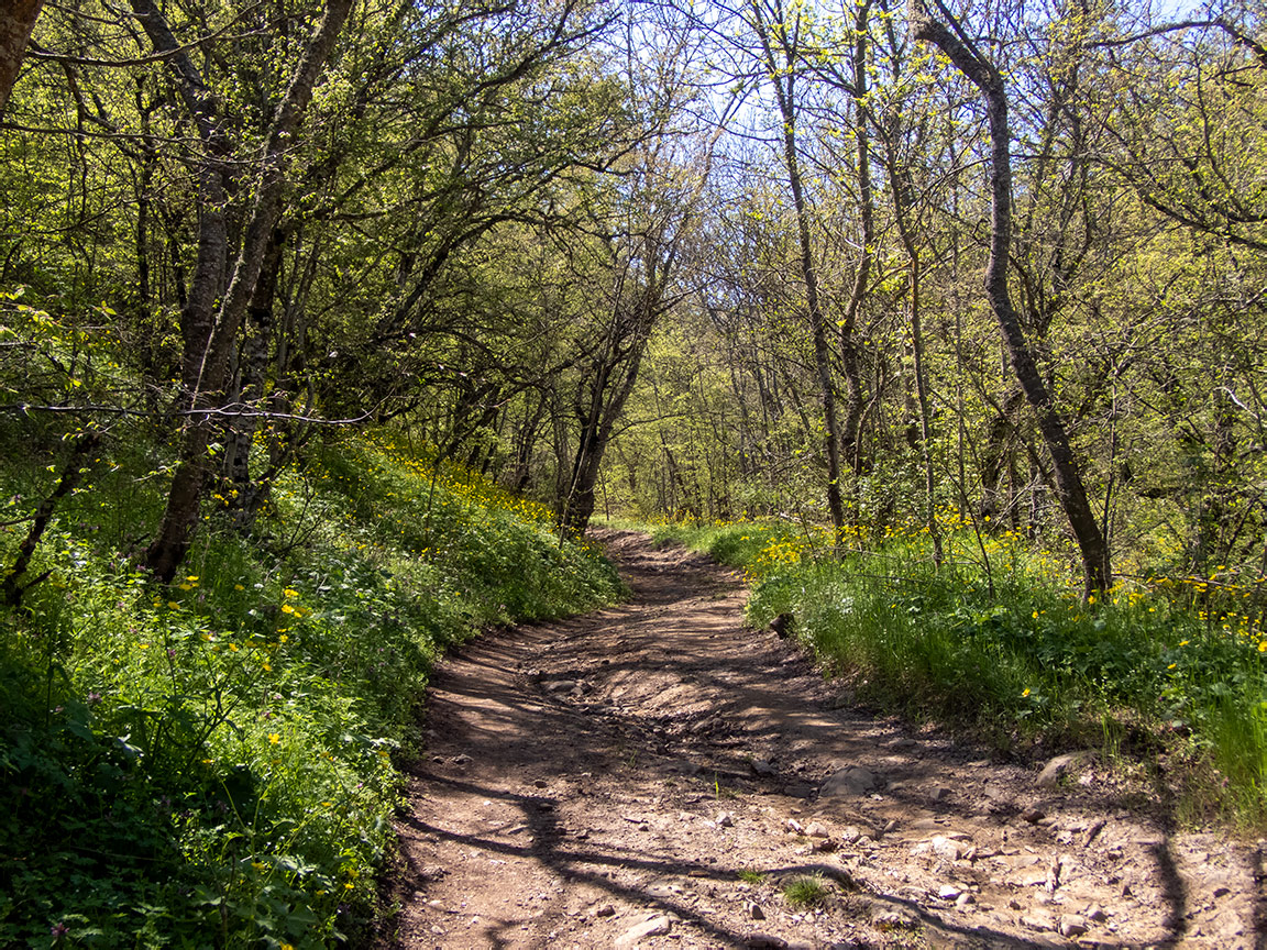 Перчем, image of landscape/habitat.