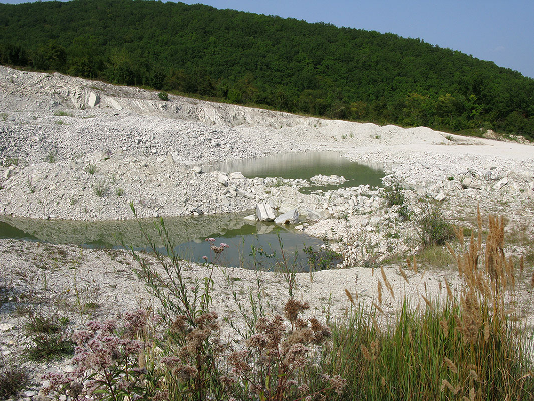 Мергелевый карьер, image of landscape/habitat.
