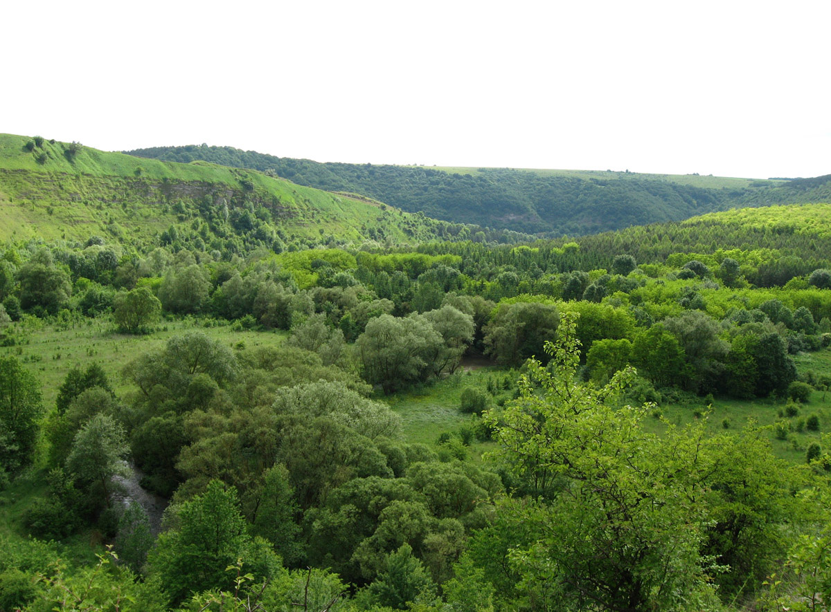 Китайгород, изображение ландшафта.
