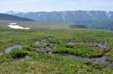 Перевал Черби, image of landscape/habitat.