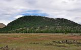 Вулкан Хорго, image of landscape/habitat.