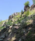 Image of landscape