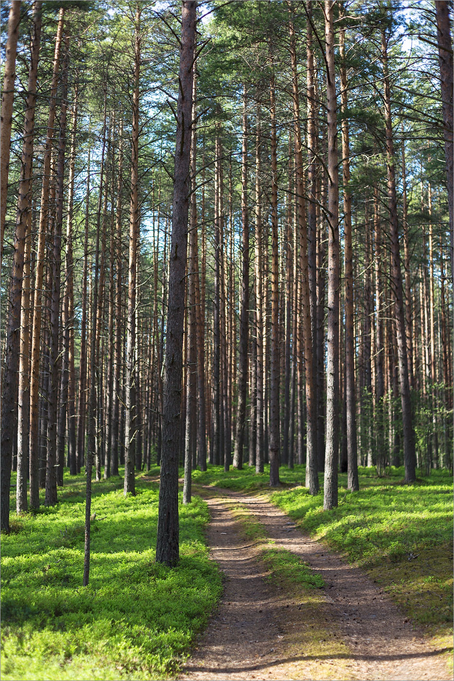 Клим Нос, image of landscape/habitat.