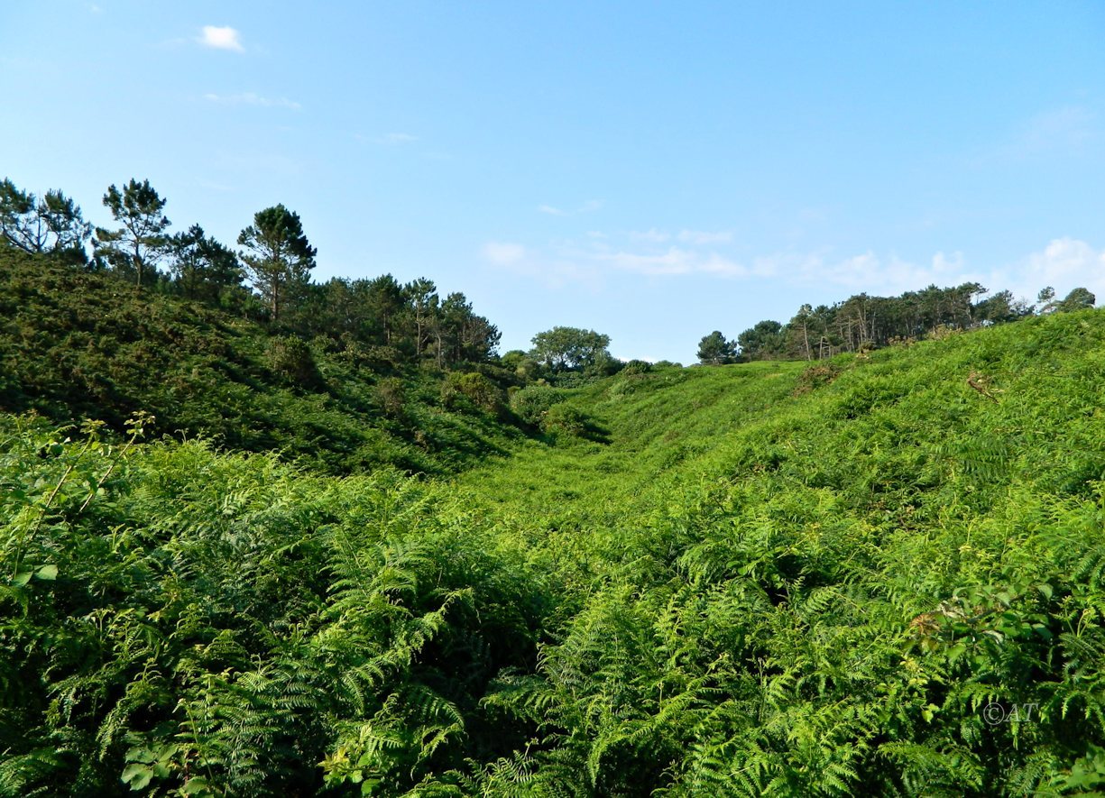 Окрестности Луанко, image of landscape/habitat.