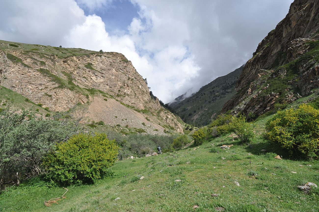 Долина реки Кубасантысу, image of landscape/habitat.