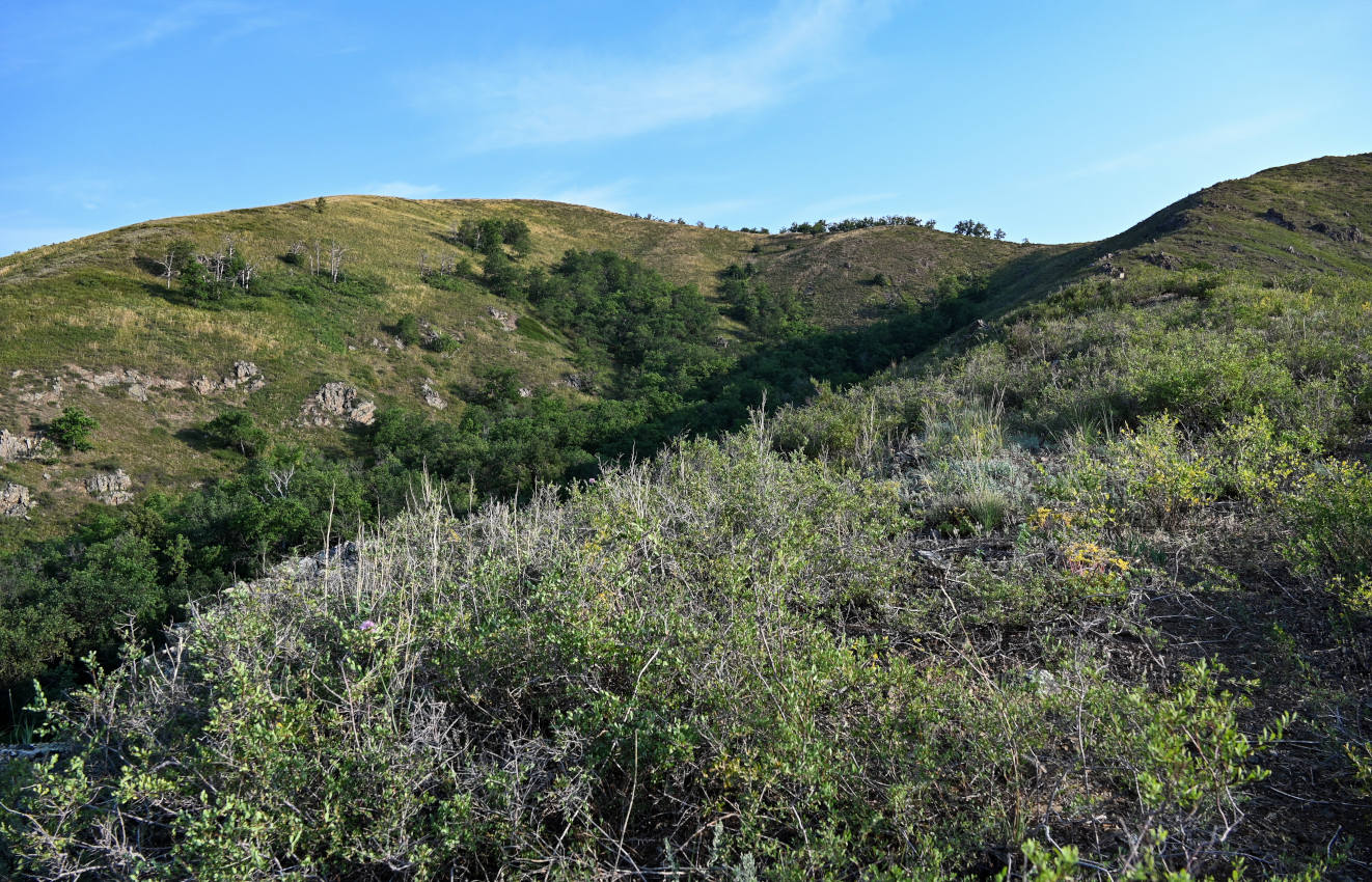 Заповедник "Шайтан-Тау", image of landscape/habitat.