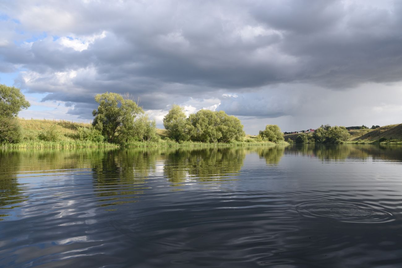 Село Никольское, image of landscape/habitat.