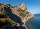 Image of landscape