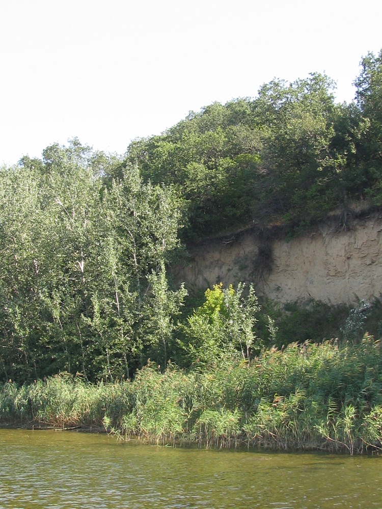 Остров Хортица, image of landscape/habitat.