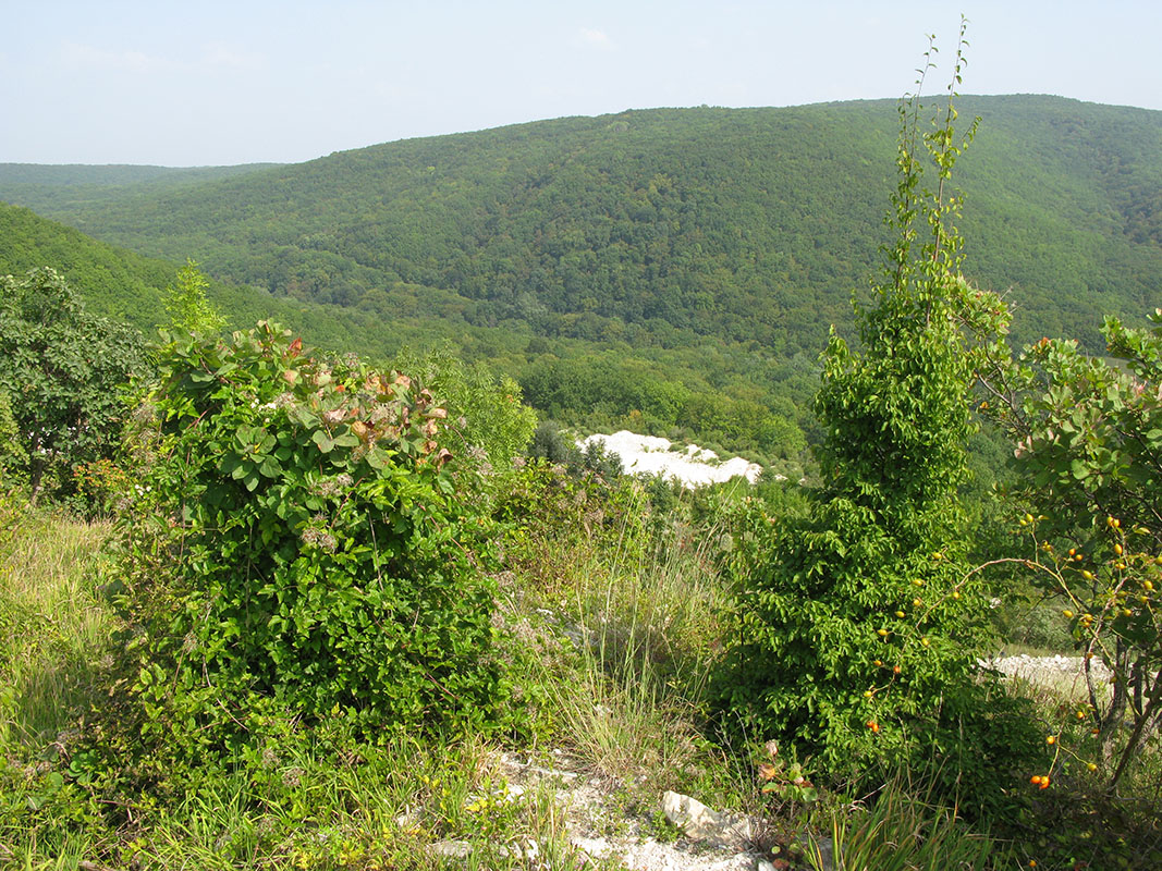 Мергелевый карьер, изображение ландшафта.