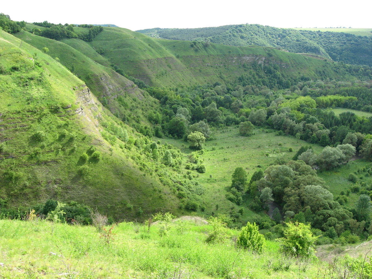 Китайгород, image of landscape/habitat.