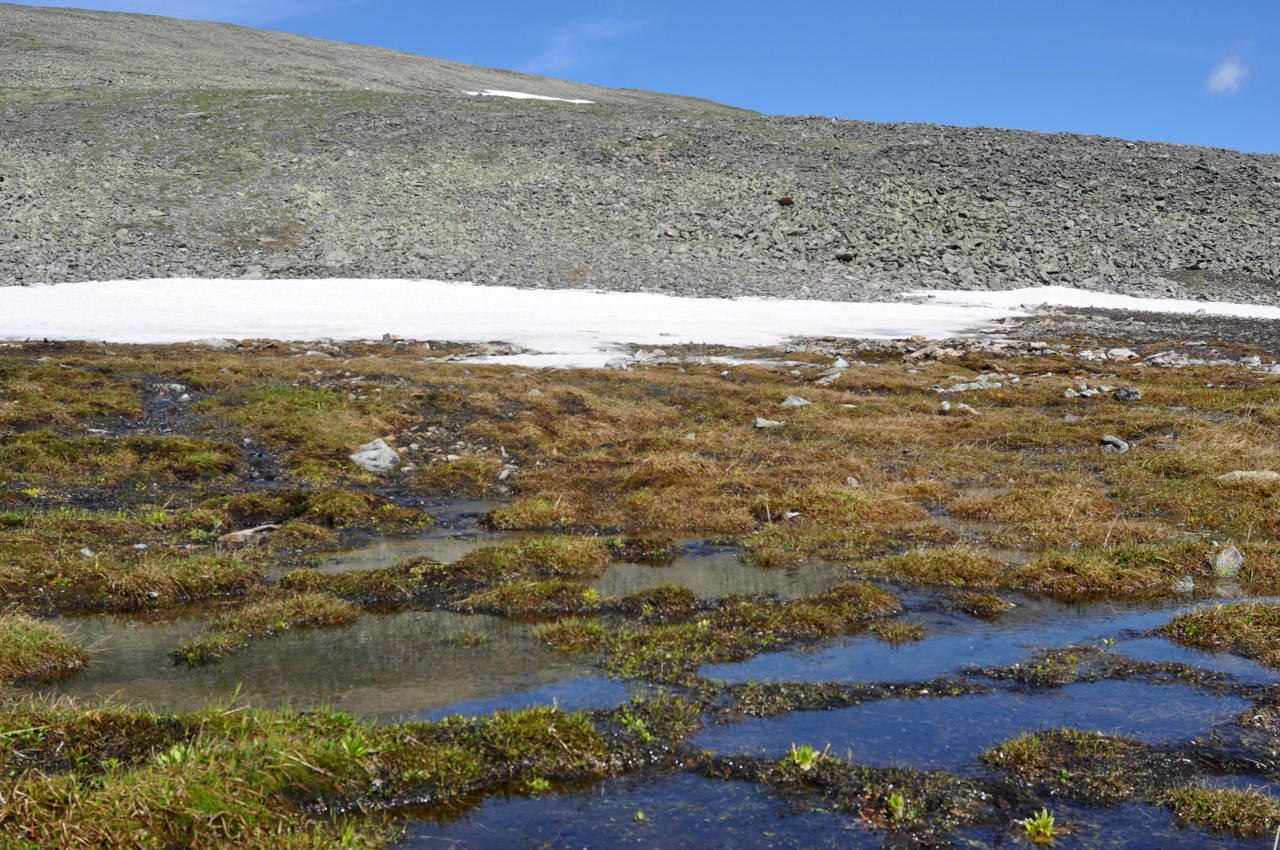 Перевал Черби, image of landscape/habitat.