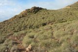 Cabo de Gata, image of landscape/habitat.