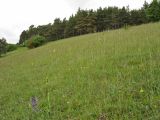 Image of landscape