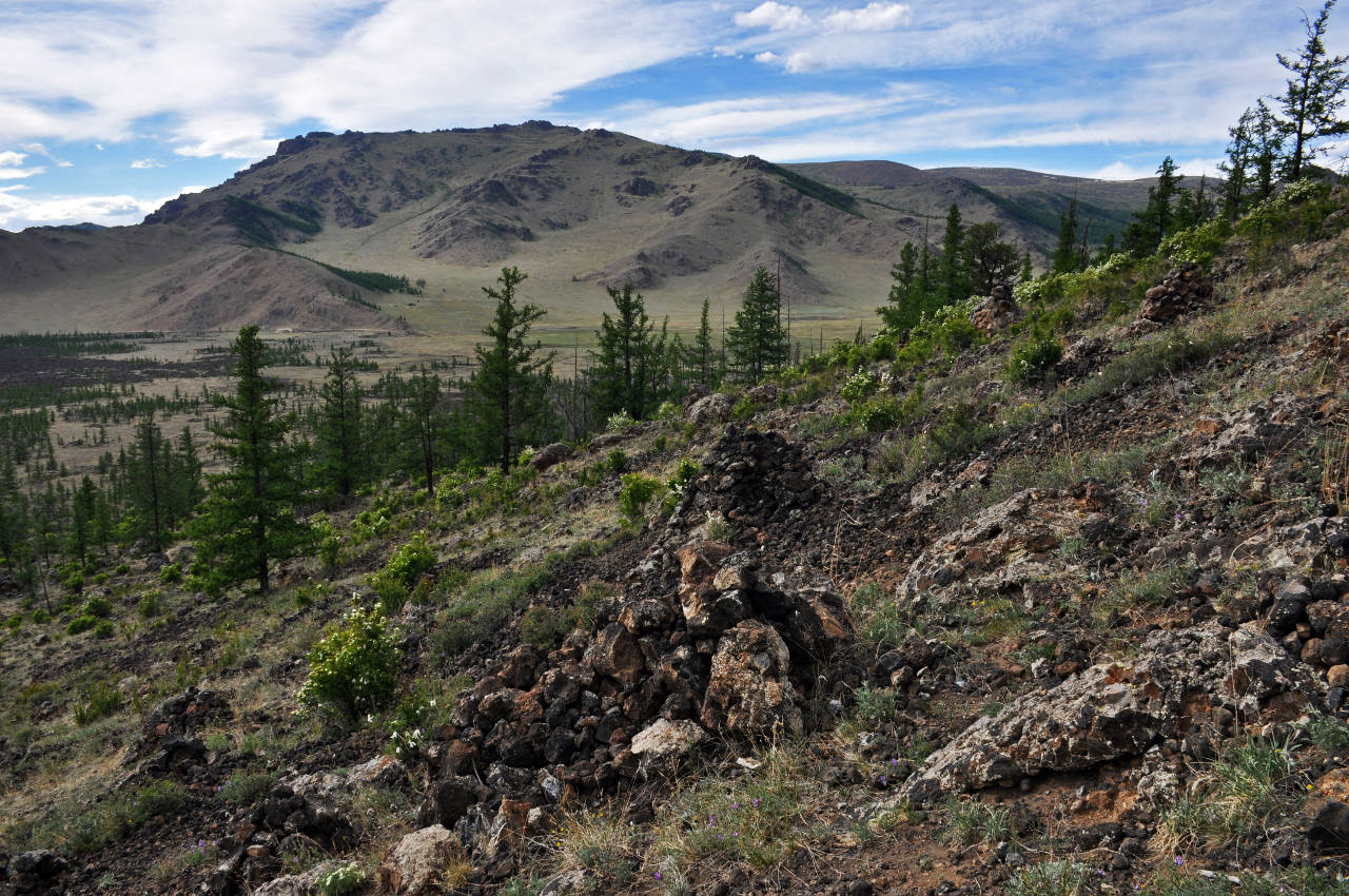 Вулкан Хорго, image of landscape/habitat.