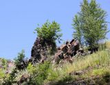 Image of landscape