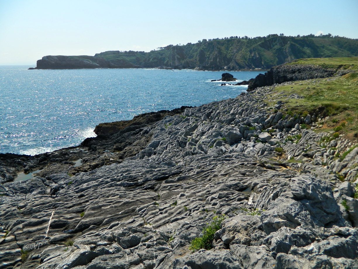 Окрестности Луанко, image of landscape/habitat.