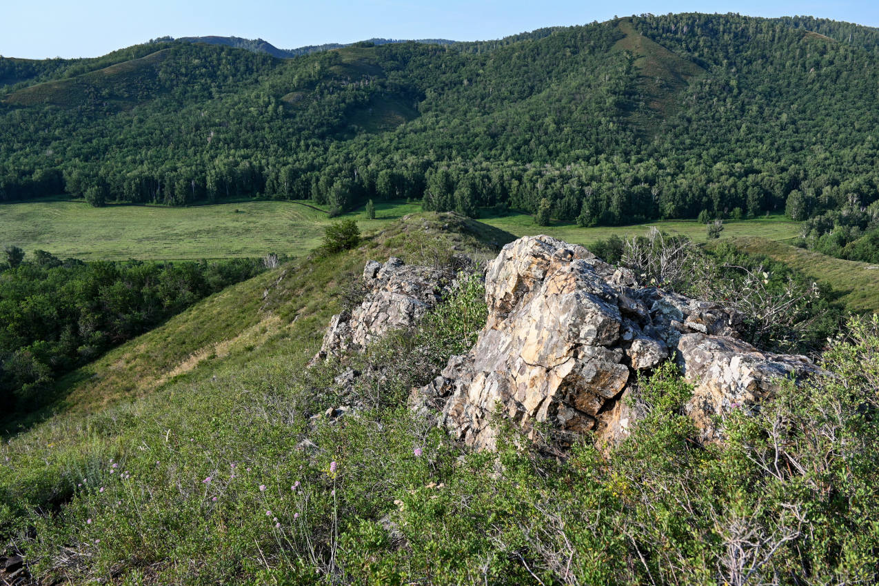 Заповедник "Шайтан-Тау", image of landscape/habitat.