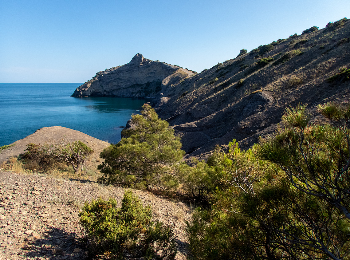 Тропа Голицына, image of landscape/habitat.