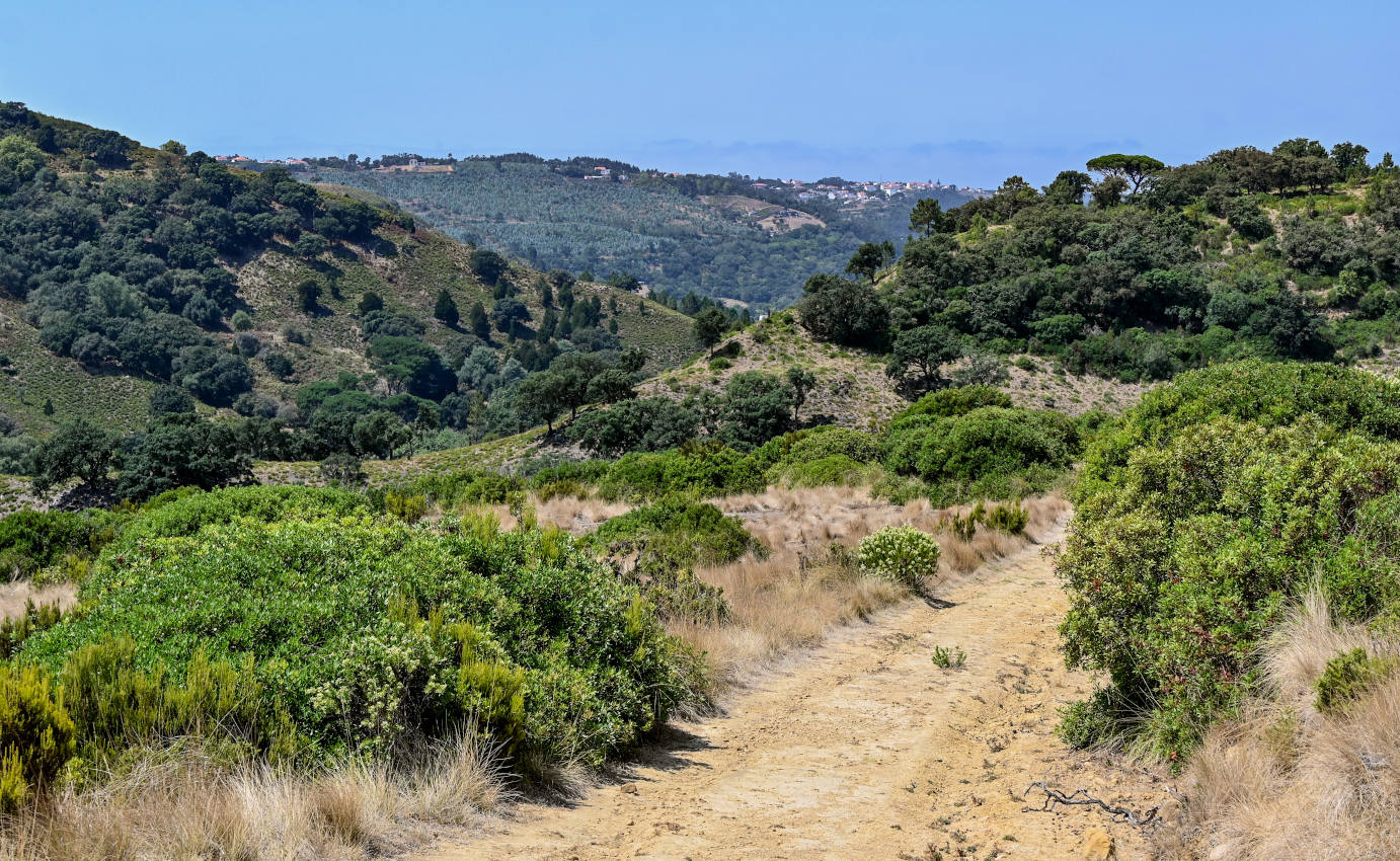 Национальный парк "Мафра", изображение ландшафта.