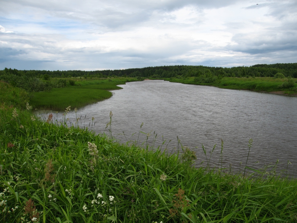 Селище, image of landscape/habitat.