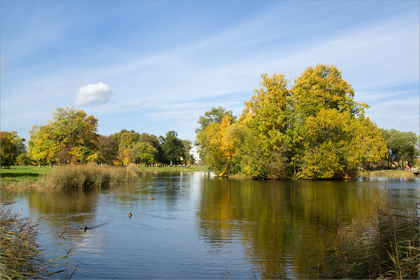 Петергоф, image of landscape/habitat.