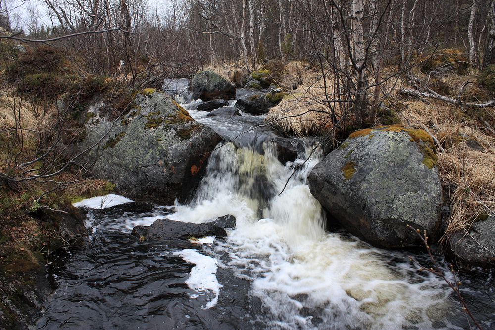 Могильный Ров, image of landscape/habitat.