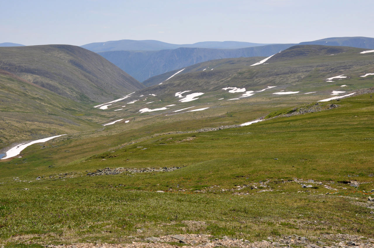 Перевал Черби, image of landscape/habitat.