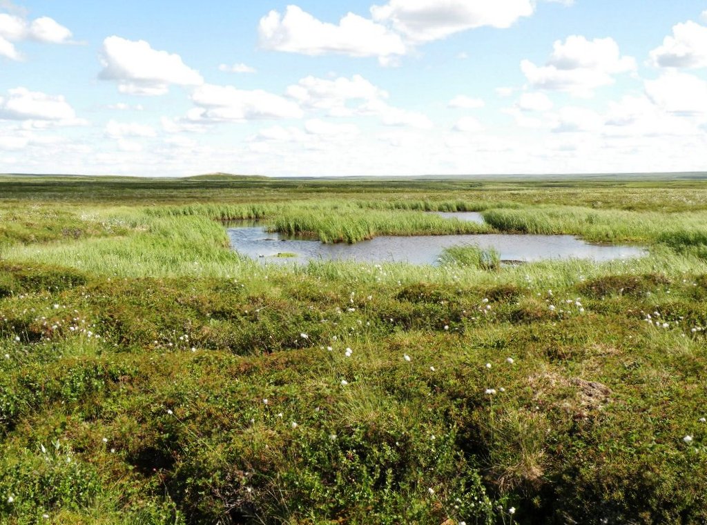 Река Вельт, image of landscape/habitat.