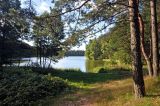 Image of landscape