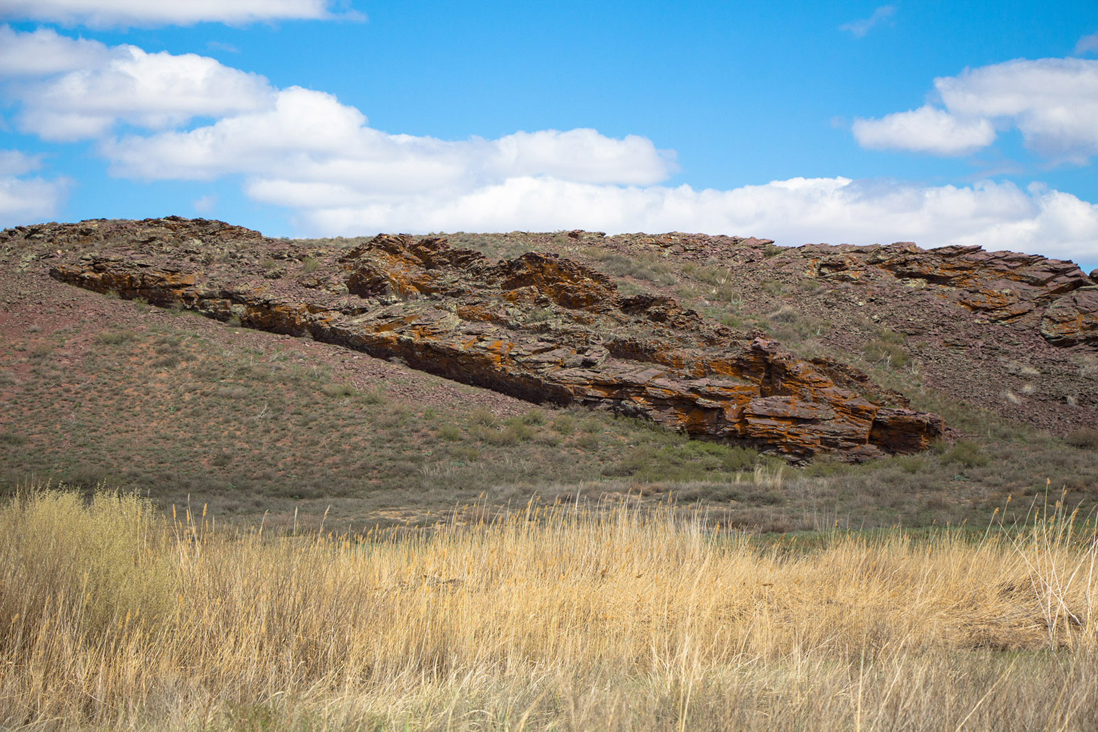 Дуйсембай, image of landscape/habitat.