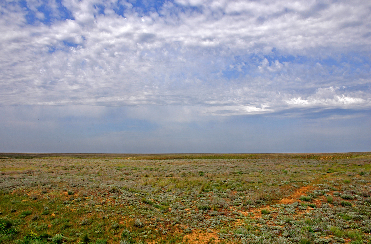 Окрестности Баскунчакской пещеры, image of landscape/habitat.